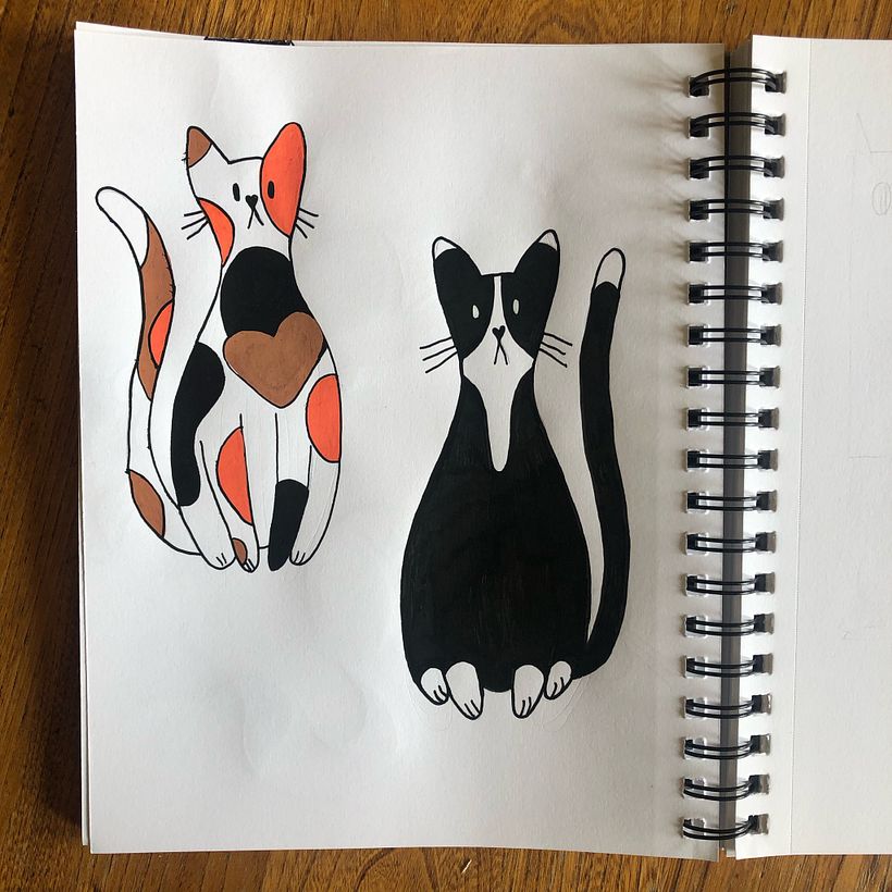 Cat 13 - new iterations