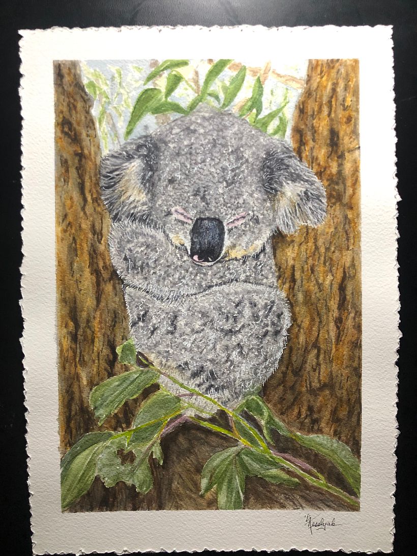 Animal portrait #9      image credited to Gary Runn