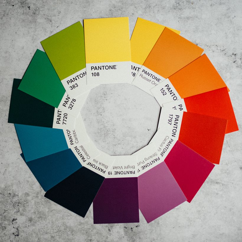 The color wheel is an essential guide. Photo: Annie Spratt for Unsplash.