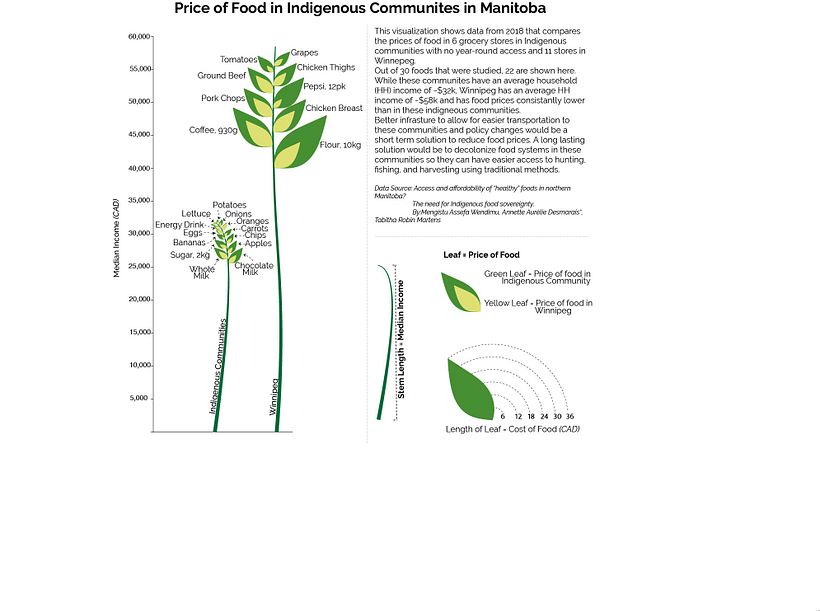 Cost of Food in Indigenous Communities  3