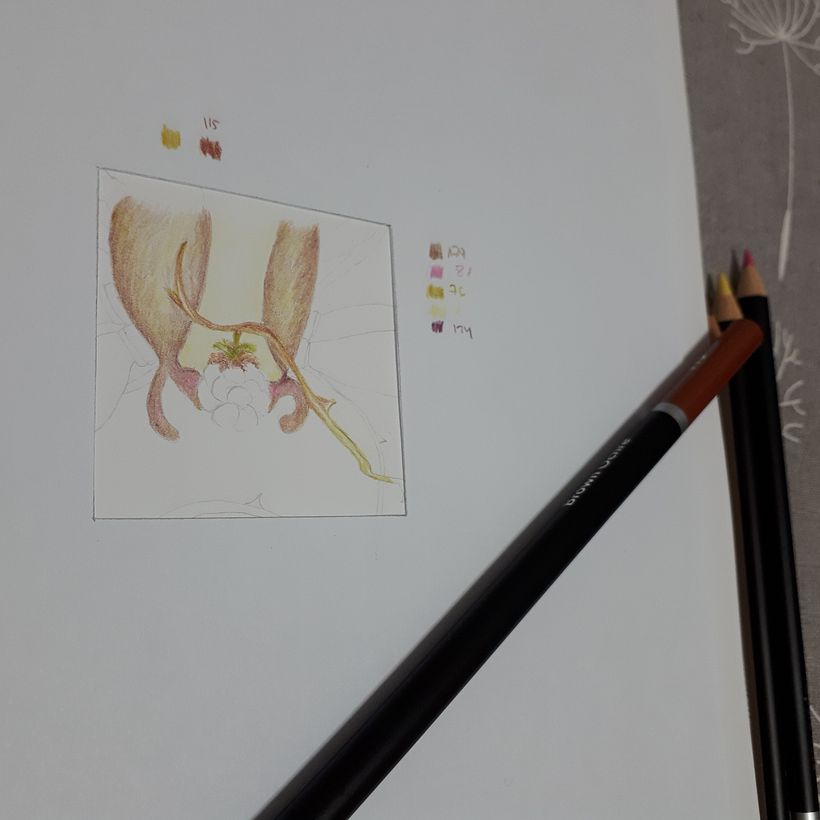 Mi Proyecto del curso: Ilustración surrealista inspirada en la naturaleza 2