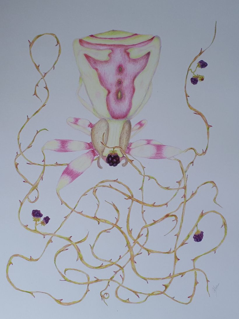 Mi Proyecto del curso: Ilustración surrealista inspirada en la naturaleza 8