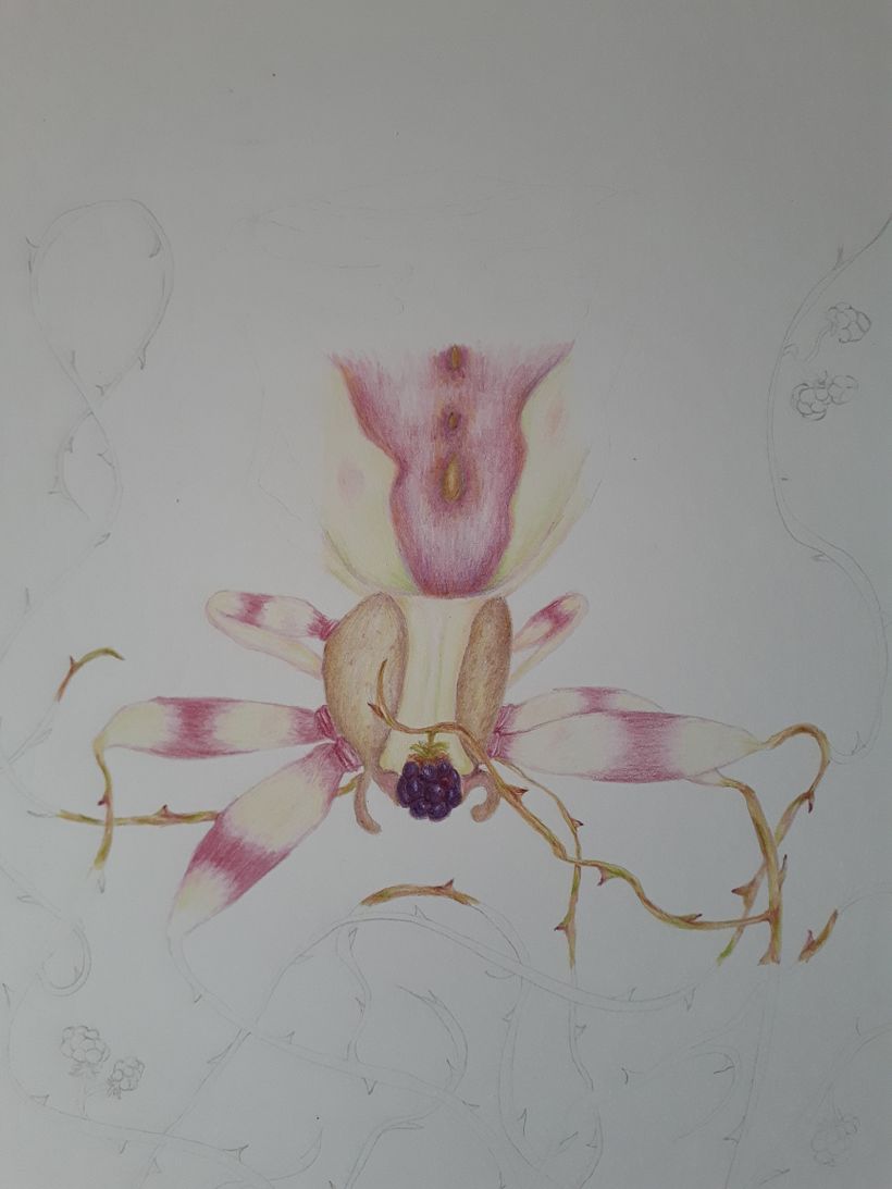 Mi Proyecto del curso: Ilustración surrealista inspirada en la naturaleza 6