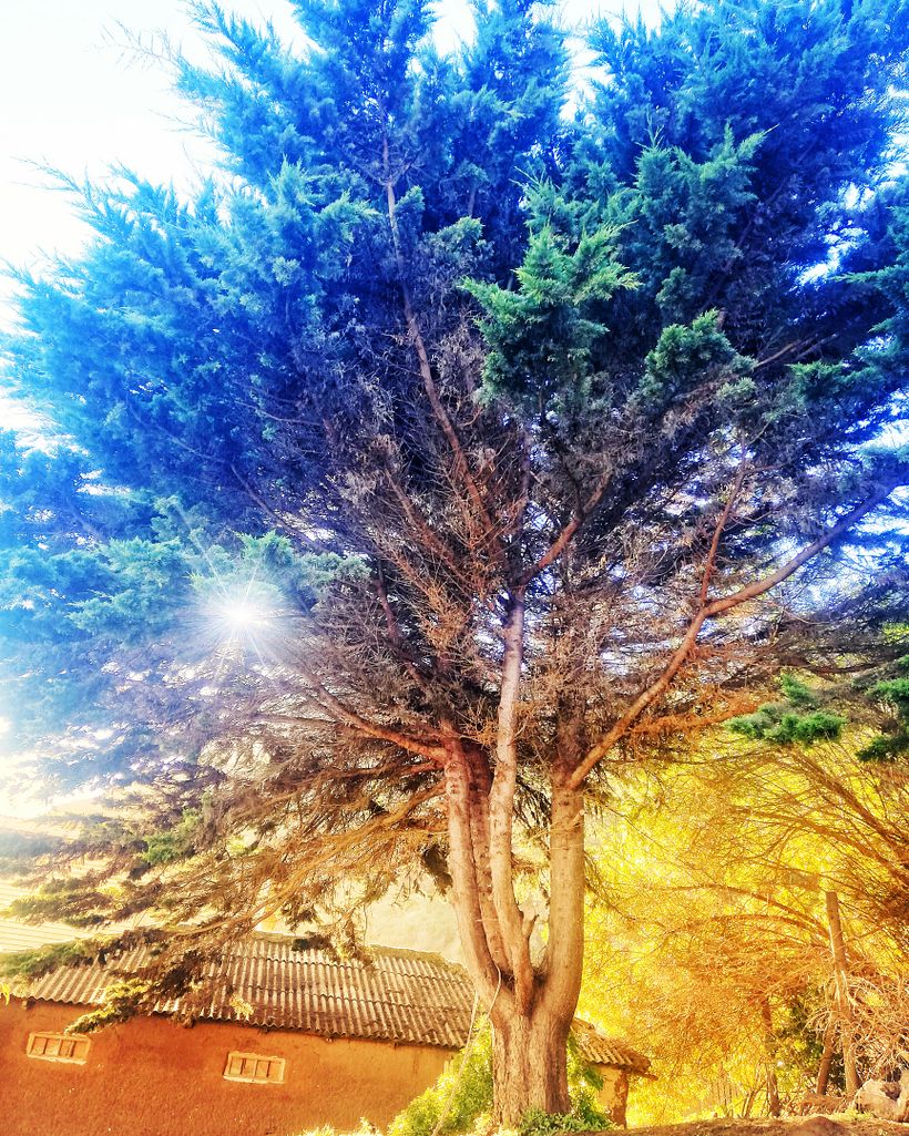 Mis primeras fotos 1