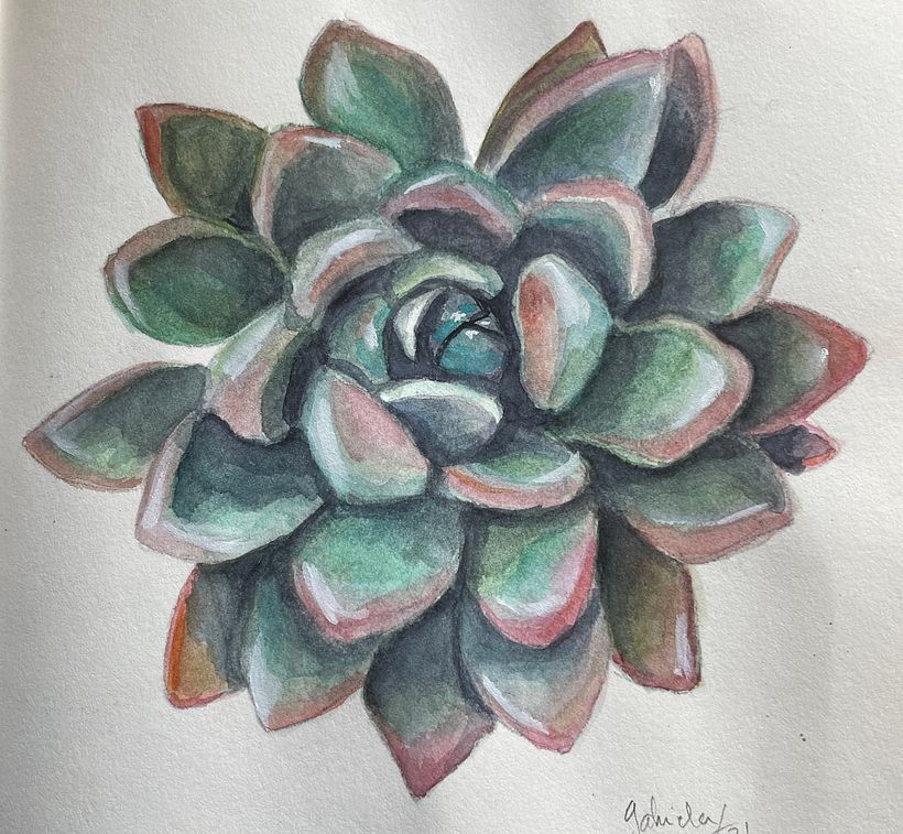 My project in Botanical Sketchbooking: A Meditative Approach course 3