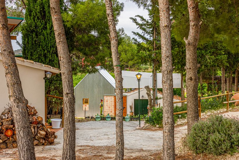 Ampliación de bodega familiar por meeecarquitectos_Mi Proyecto del curso: Inmersión en la fotografía de arquitectura_ 1