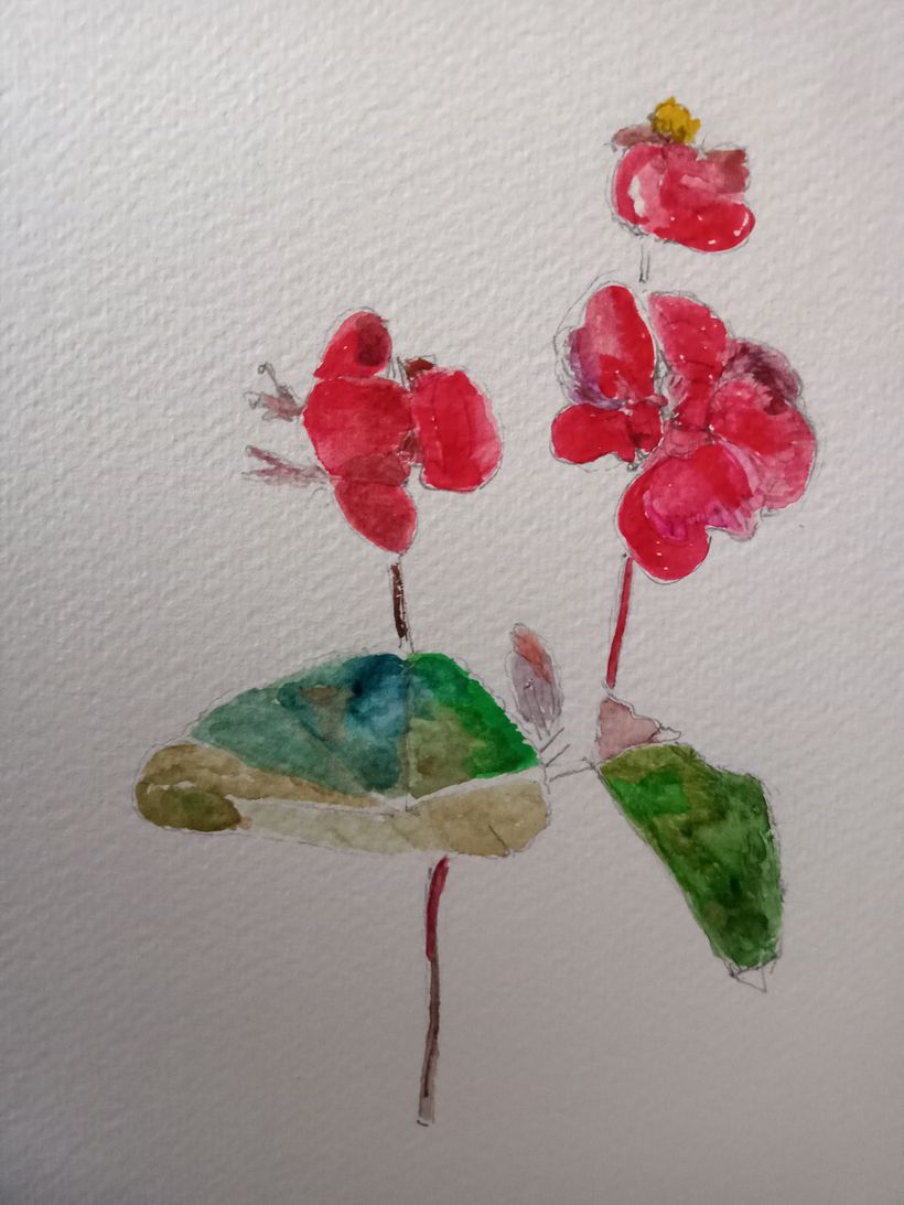 Flora and Fauna by Cliona Ryan 1