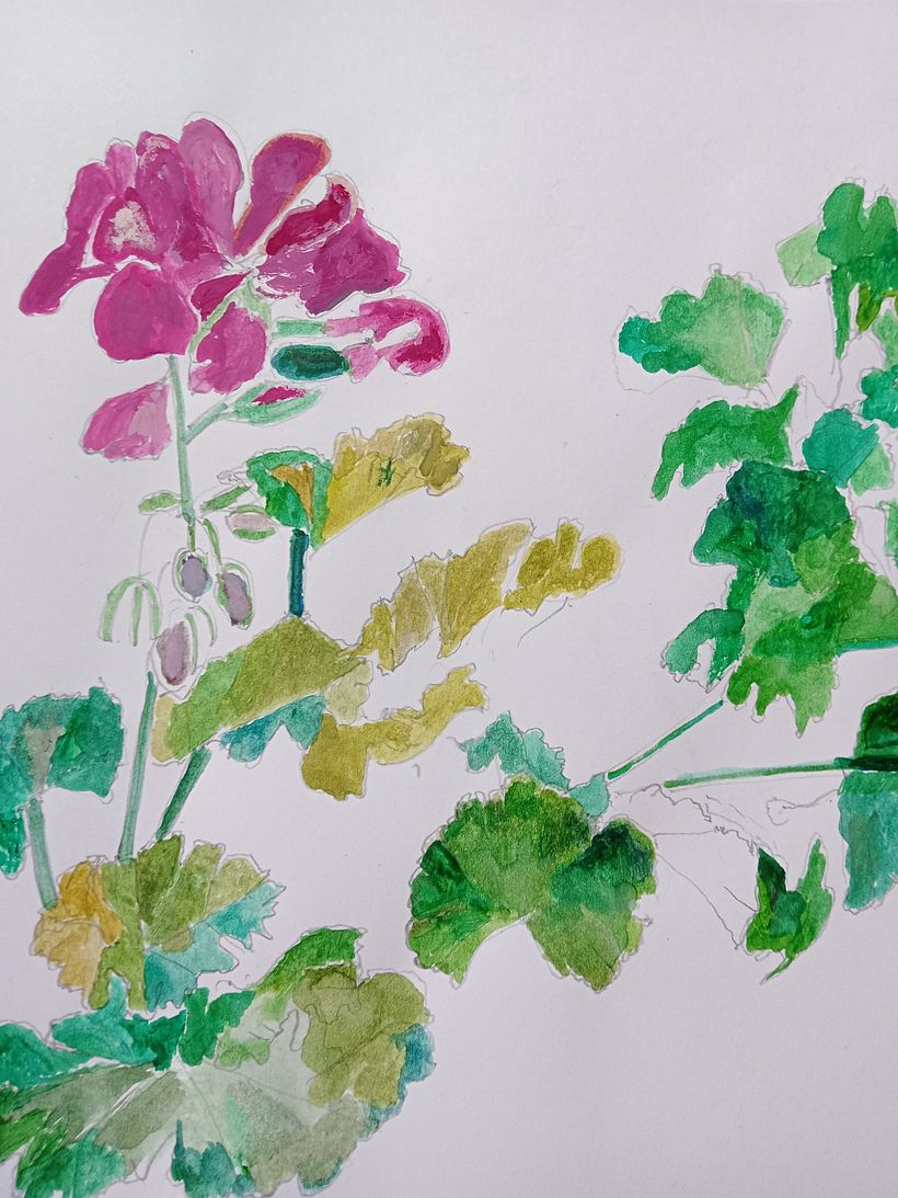 Flora and Fauna by Cliona Ryan 3