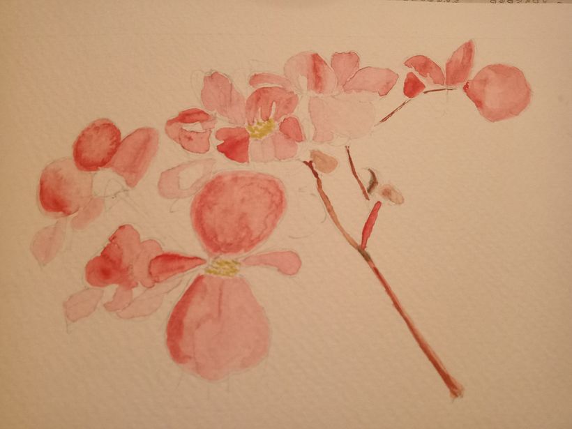 Flora and Fauna by Cliona Ryan 4