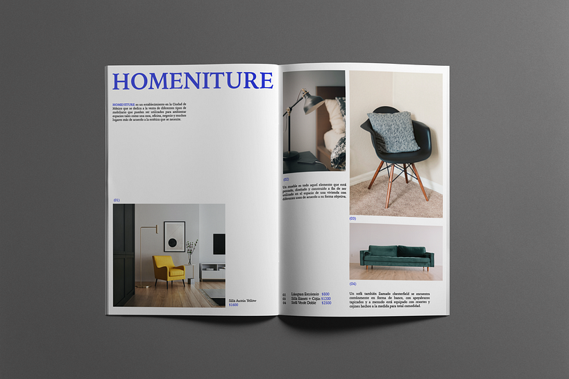 Mi Proyecto del curso: Creación de mockups para diseño gráfico 5