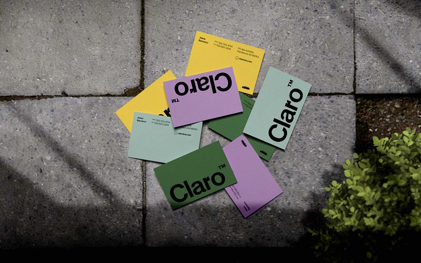 Claro™ Insurance Program 5