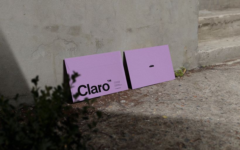 Claro™ Insurance Program 11