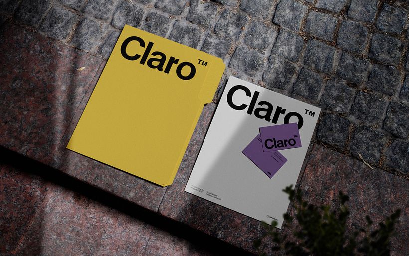 Claro™ Insurance Program 12