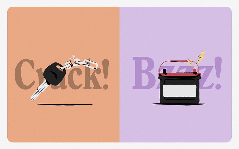 Claro™ Insurance Program 14