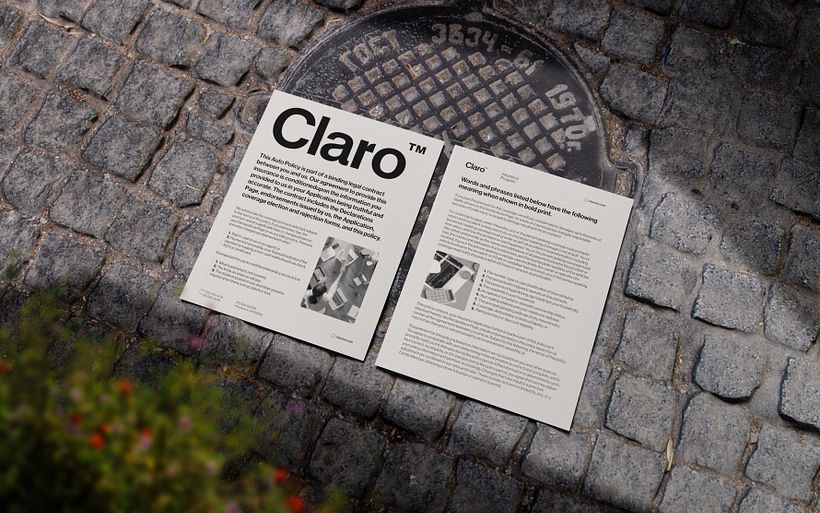 Claro™ Insurance Program 18
