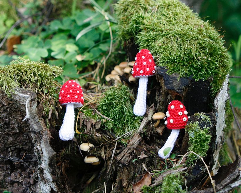 Crochet mushrooms 3