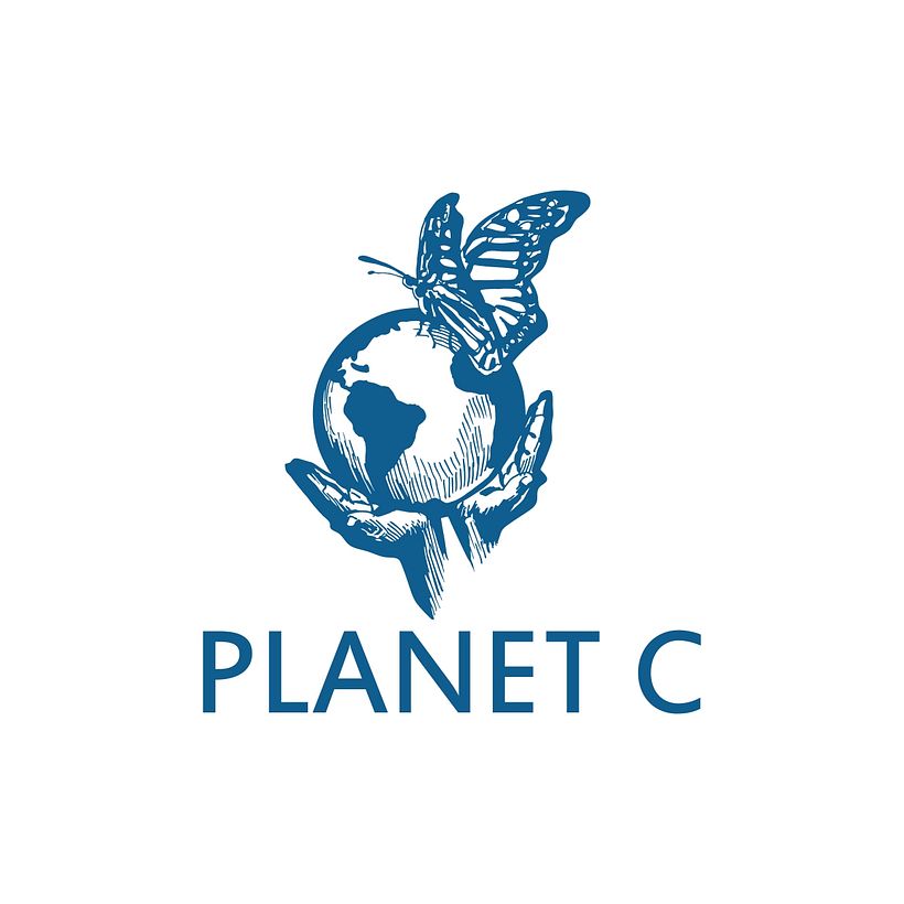 Branding - Logótipos 5