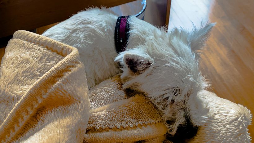 Mi Proyecto del curso: Fotografía móvil e identidad visual para Instagram 1