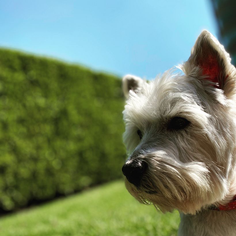 Mi Proyecto del curso: Fotografía móvil e identidad visual para Instagram 6