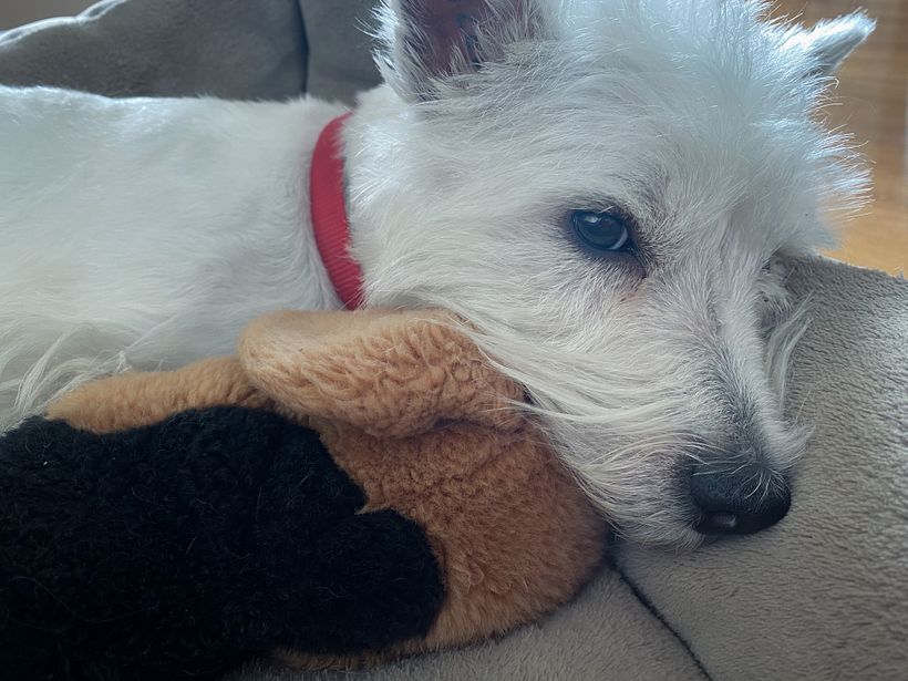 Mi Proyecto del curso: Fotografía móvil e identidad visual para Instagram 9