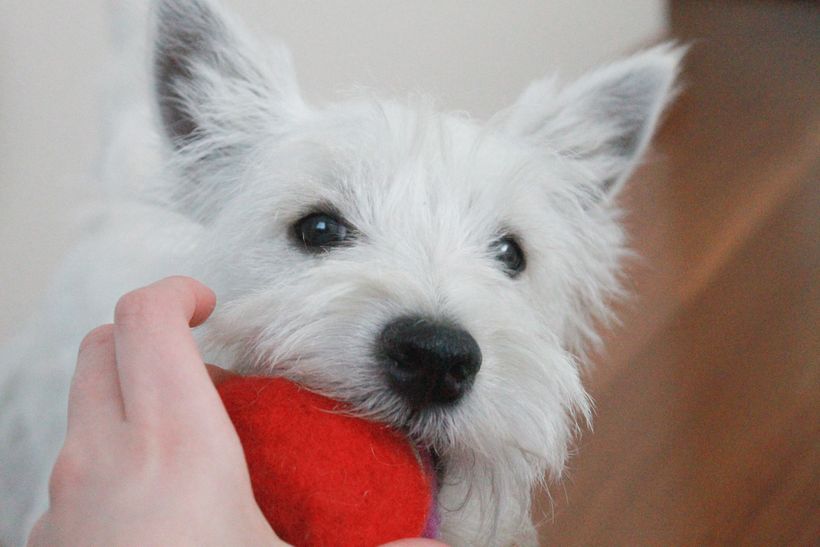 Mi Proyecto del curso: Fotografía móvil e identidad visual para Instagram 14