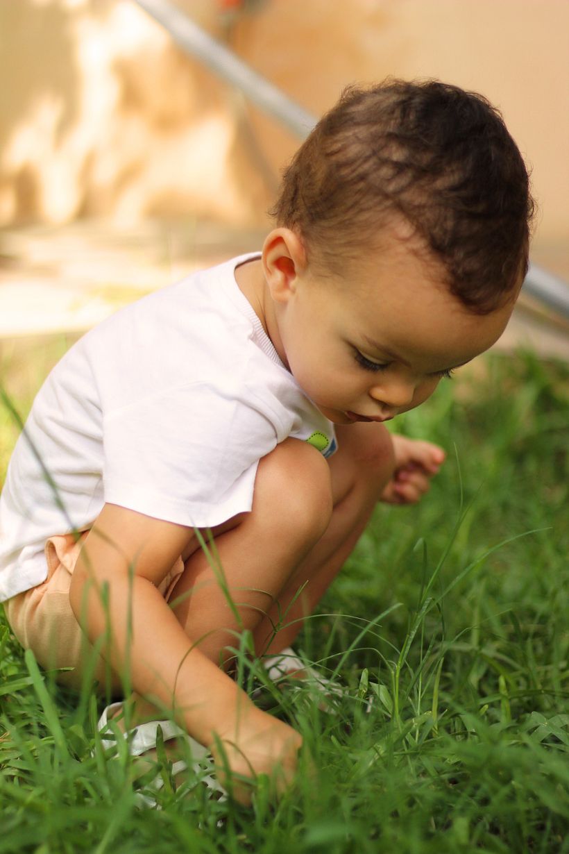 Mi Proyecto del curso: Un día con Liam. 8