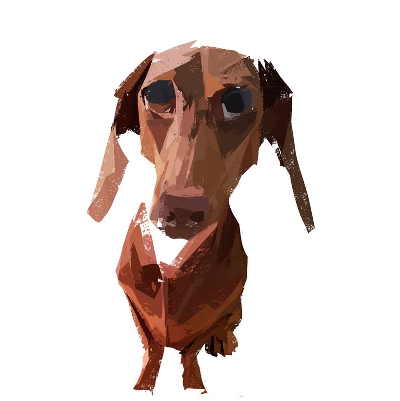 Procedo con il corpo cercando di “ animare” il mio disegno.