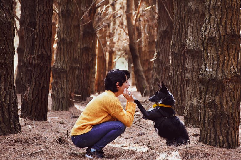 @reveladogs fotografía Animal 4