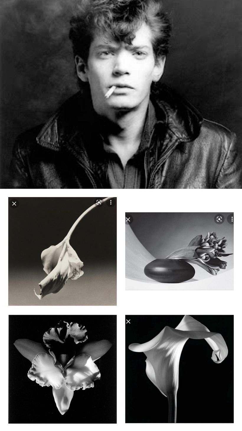 Imágenes de Robert Mapplethorpe