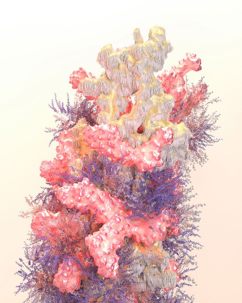 2. Sericum scopulum