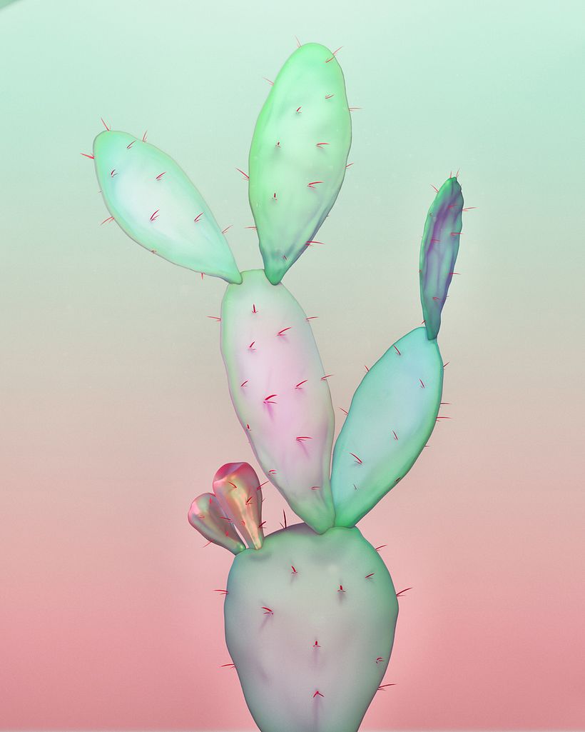 3. Opuntia ficus-indica