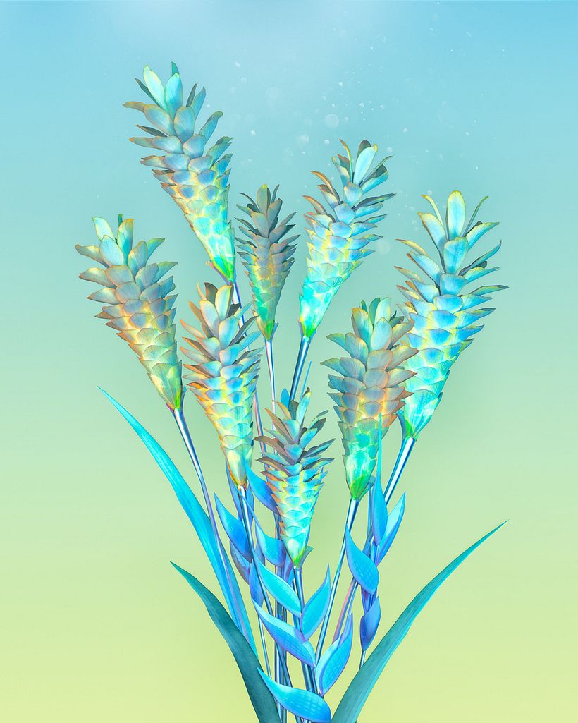 5. Strelitzia reginae