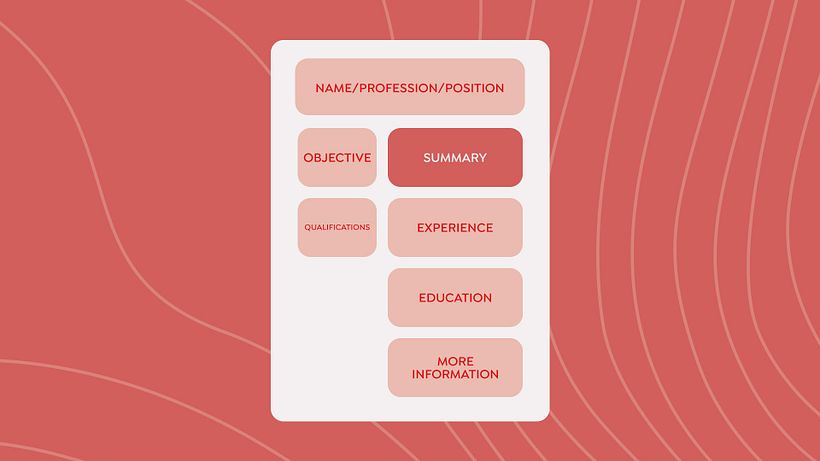 A well-structured CV.