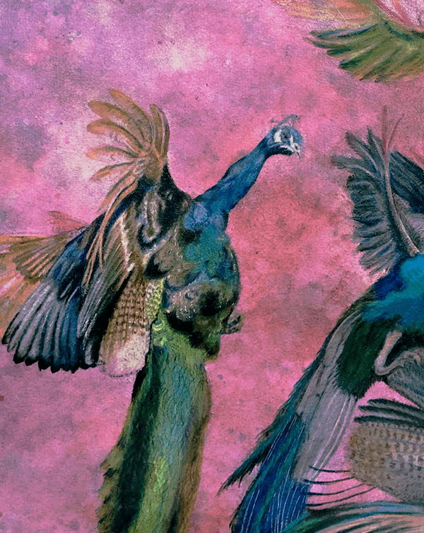  Sins of the Pretty Ones 5