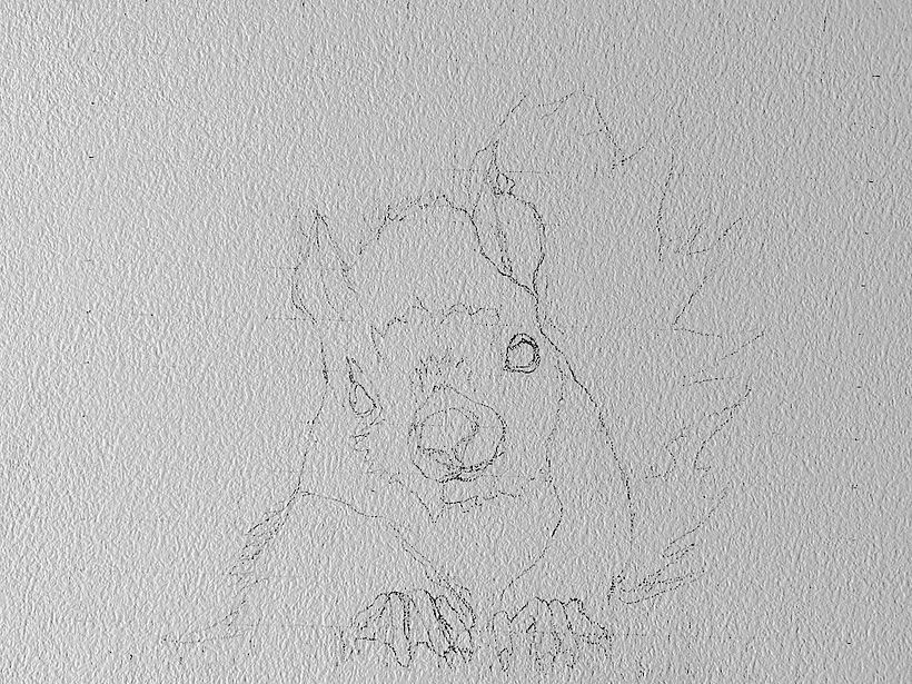 The drawing