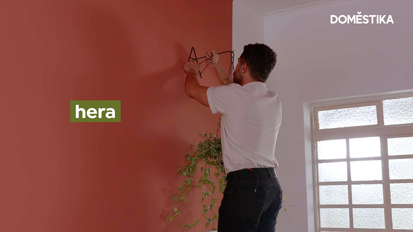 Versátil, la hiedra es ideal para colgar.