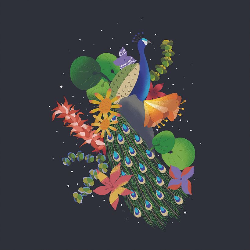 Pavo real - Ilustrasi tradisional