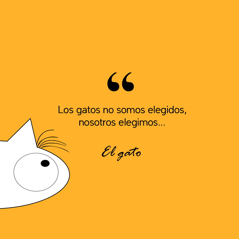 El gato dice... 2