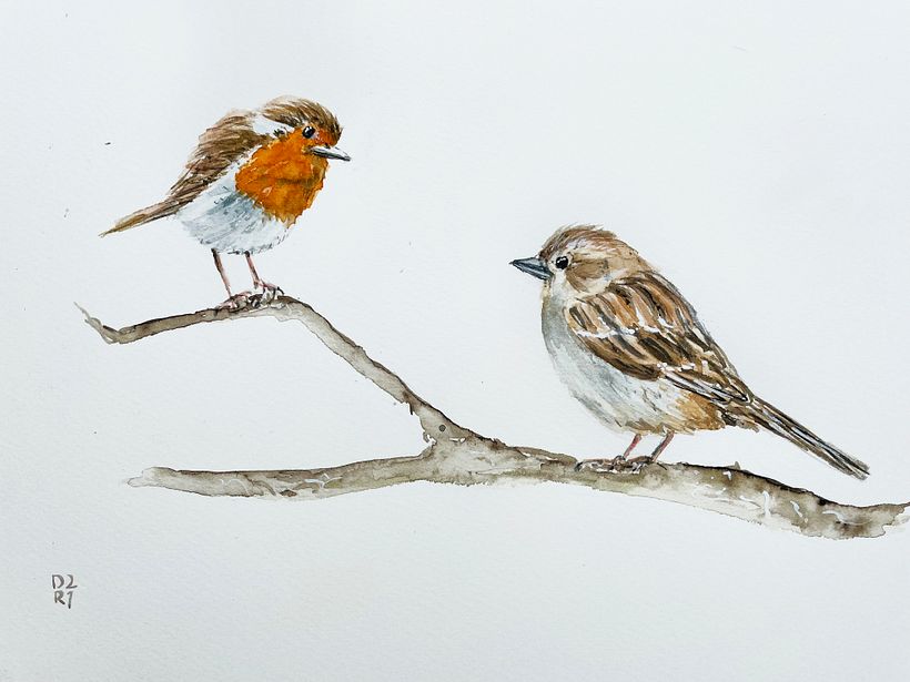 My project in Artistic Watercolor Techniques for Illustrating Birds course 4