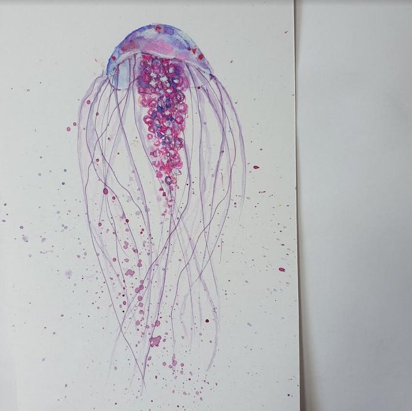 Jellyfish, Ana Victoria style