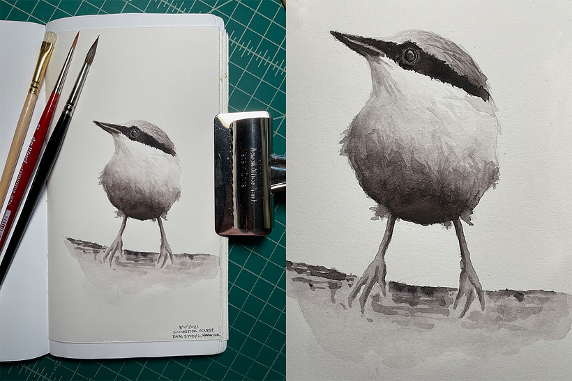 My project in Artistic Watercolor Techniques for Illustrating Birds course 1