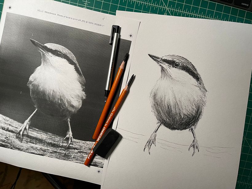 My project in Artistic Watercolor Techniques for Illustrating Birds course 2