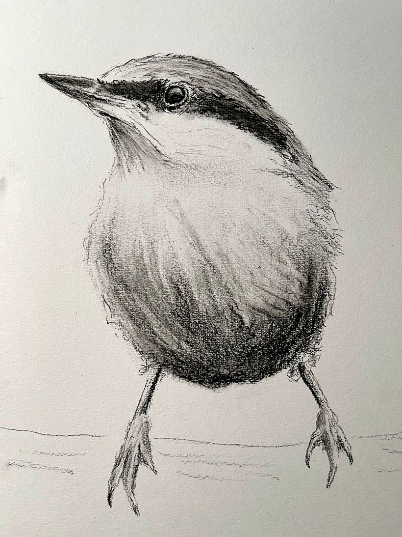 My project in Artistic Watercolor Techniques for Illustrating Birds course 3