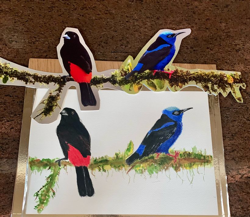 My project in Artistic Watercolor Techniques for Illustrating Birds course 3