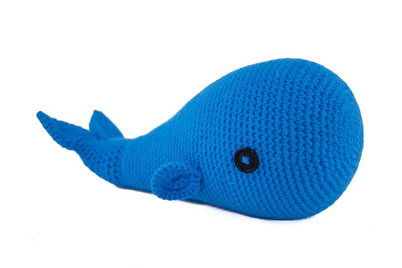 Neure Panpina Presentación de Marca. Sesión  fotográfica de producto y Video Marker 2