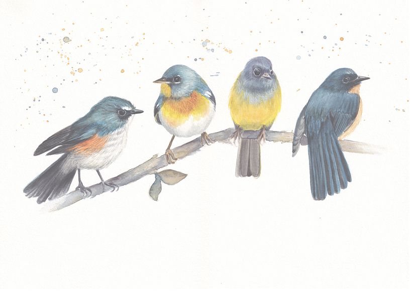 My project in Artistic Watercolor Techniques for Illustrating Birds course 1