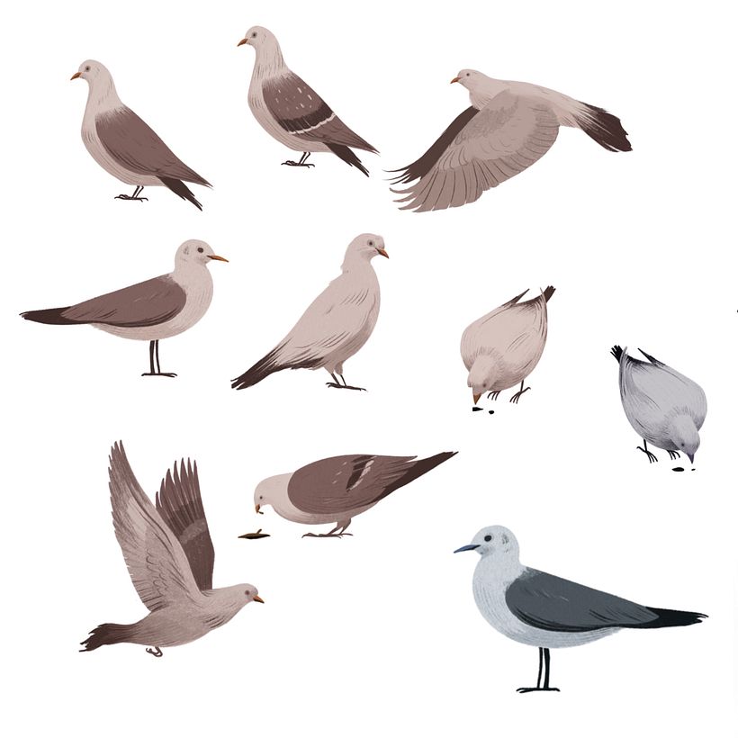 Diseño de palomas para la intro.