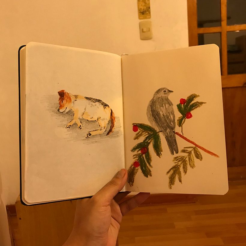 Gün sonunda notlar.