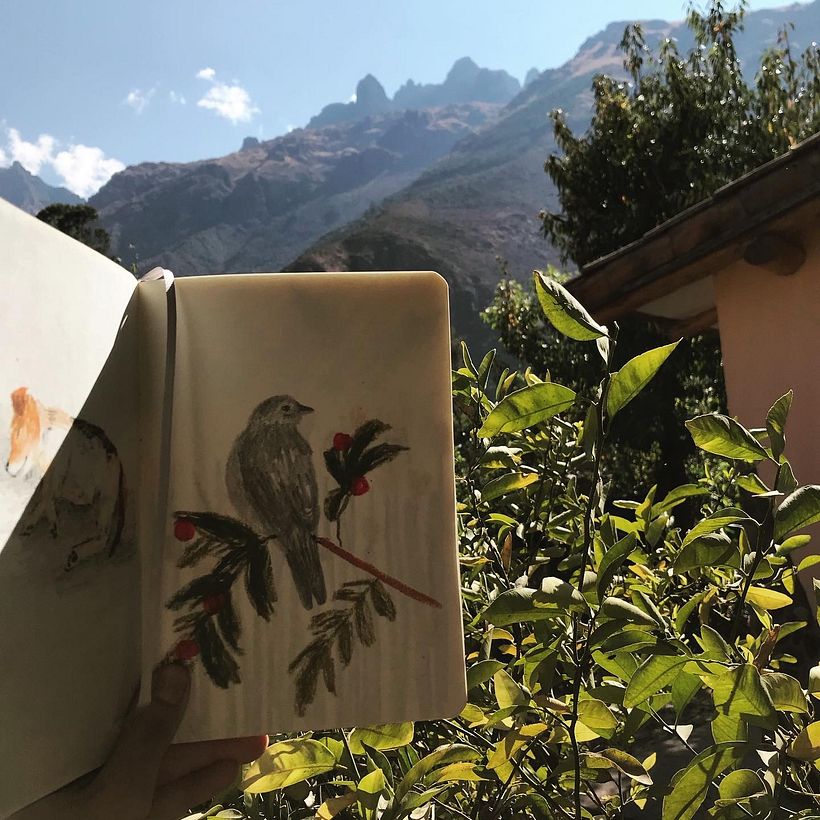 Urubamba'da kuş ve ev.
