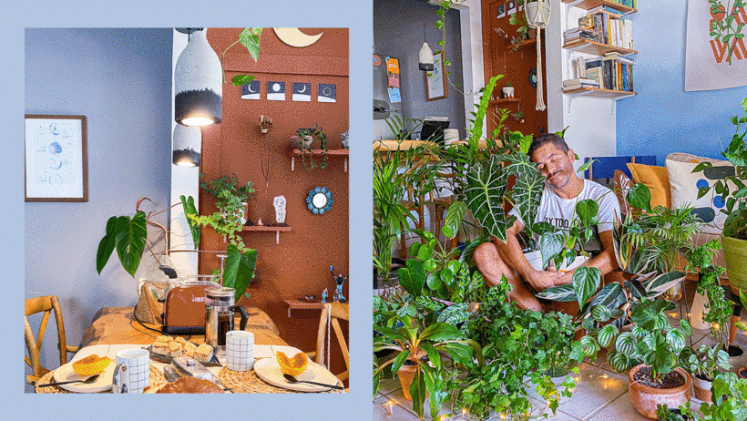 Daniel Virginio knows the secrets you need to add energy, color and light to any space.